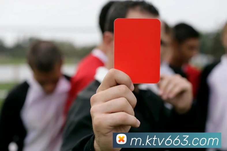 v66全站App
